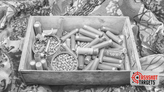 Tray containing old ammunition