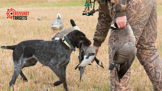 A hunter taking the goose from a dog in the fields