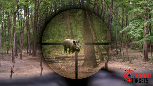 A scope pointing towards a rhino in the bush