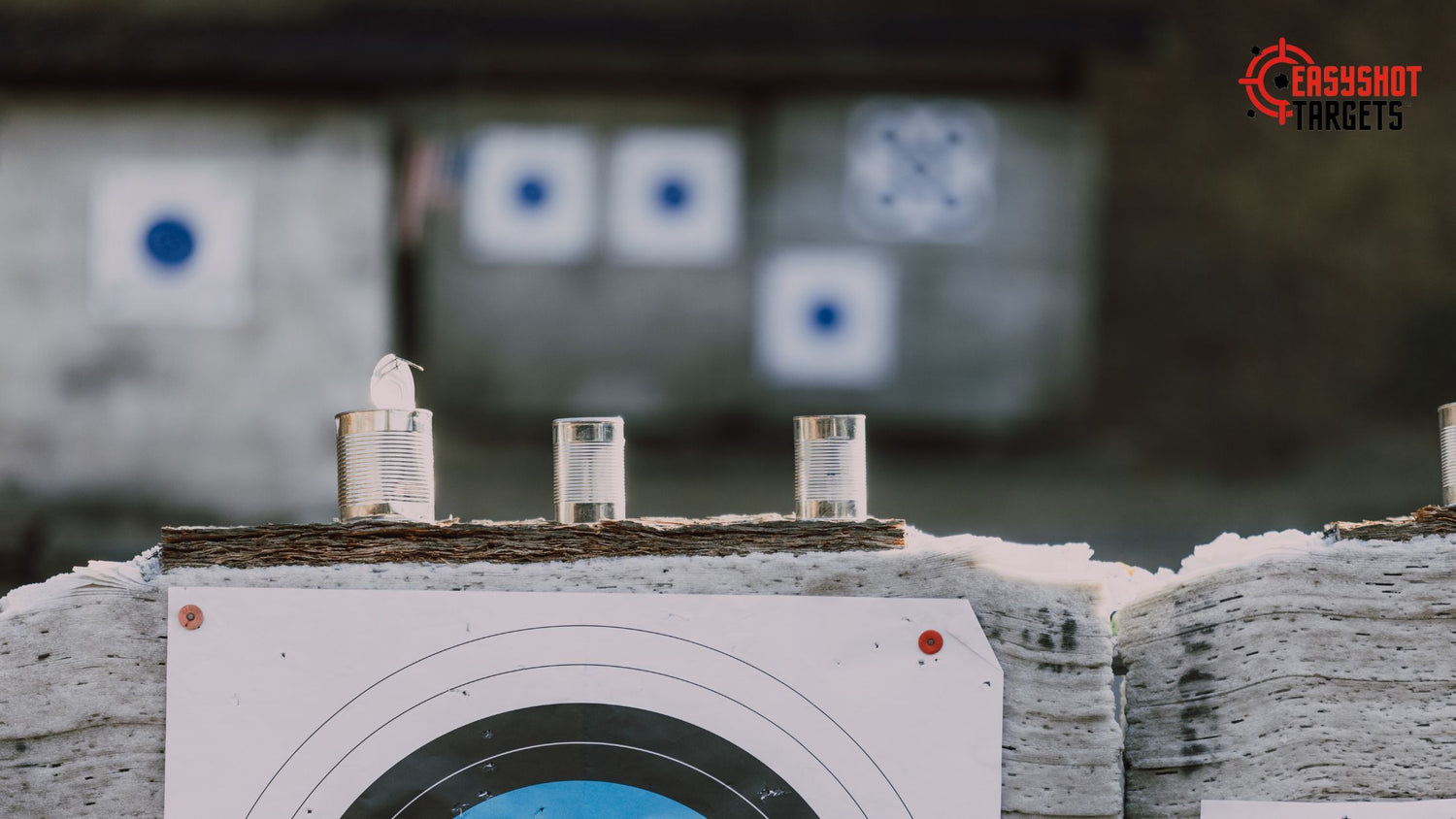 8 Effective DIY Shooting Targets To Make Shooting Practice More Fun ...